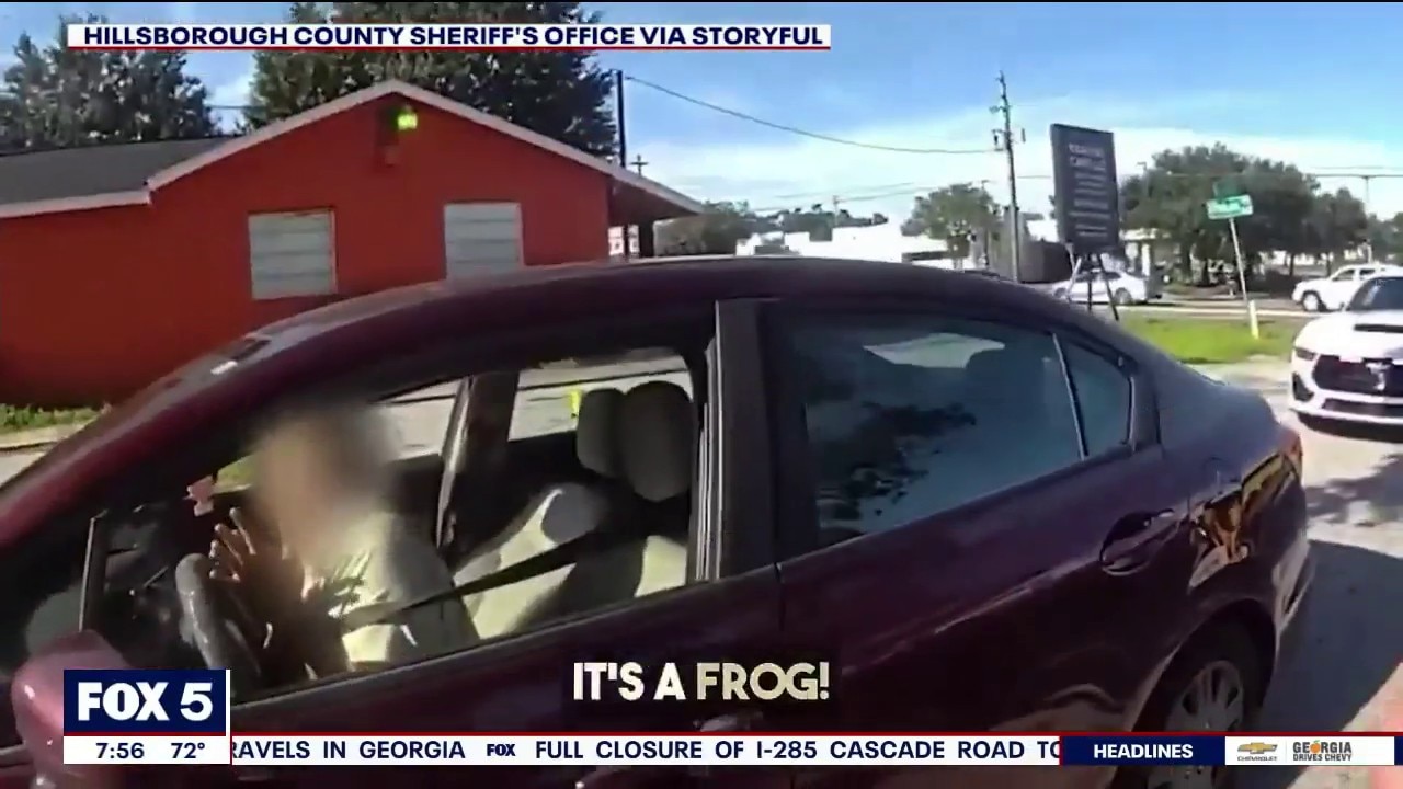 Driver freaks out over frog in car