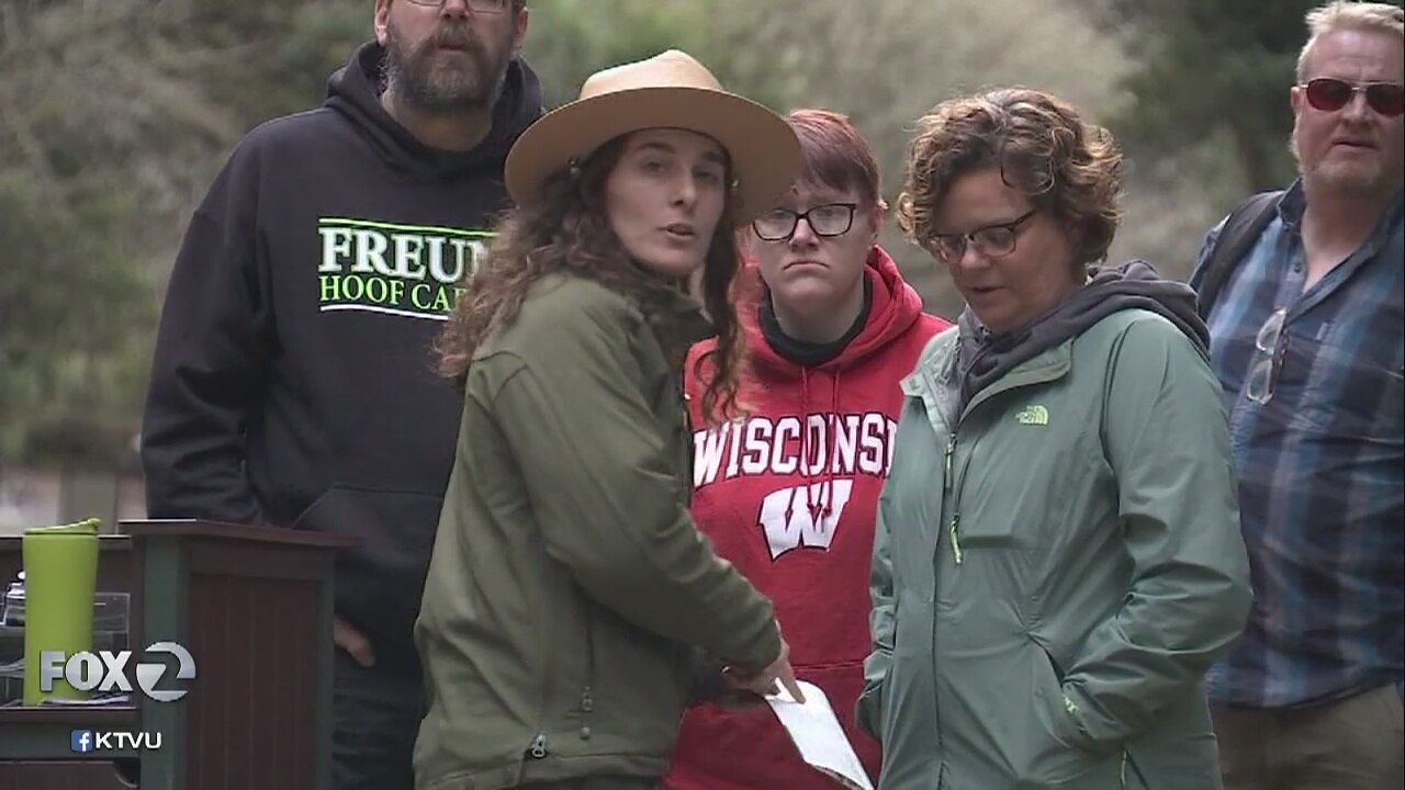 Federal employees back at work, getting paid