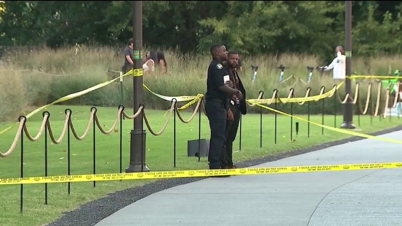 Beltline stabbing suspect has lengthy record