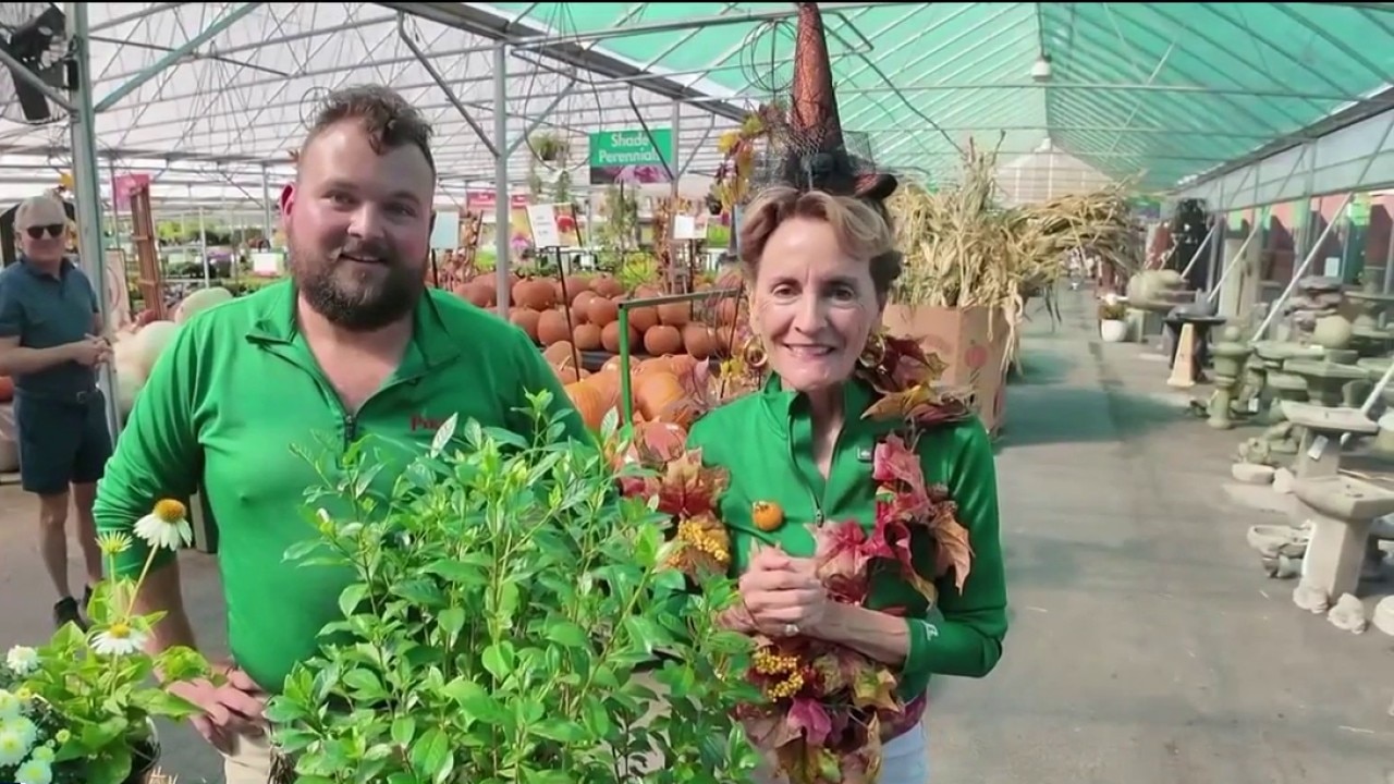 Pike Nursery: Creating a Garden that glows after dark