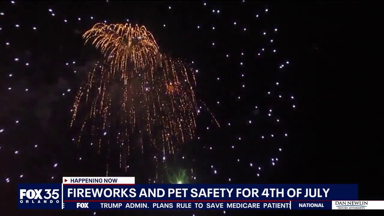 Fireworks and pet safety for 4th of July