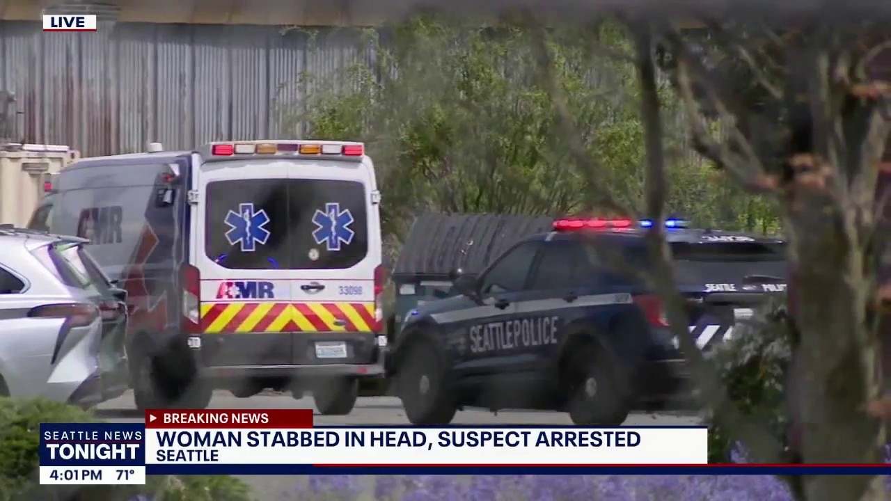 Man in his 20s arrested in Seattle stabbing