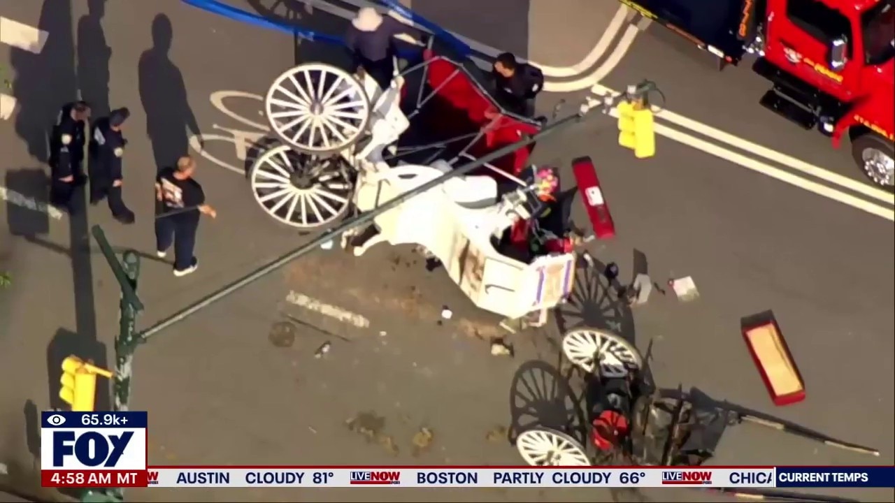 Teen killed in Horse carriage accident was saving mom
