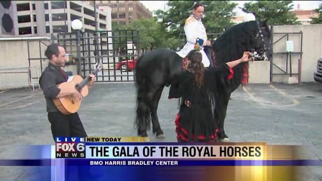 Laura learns all about The Gala of The Royal Horses