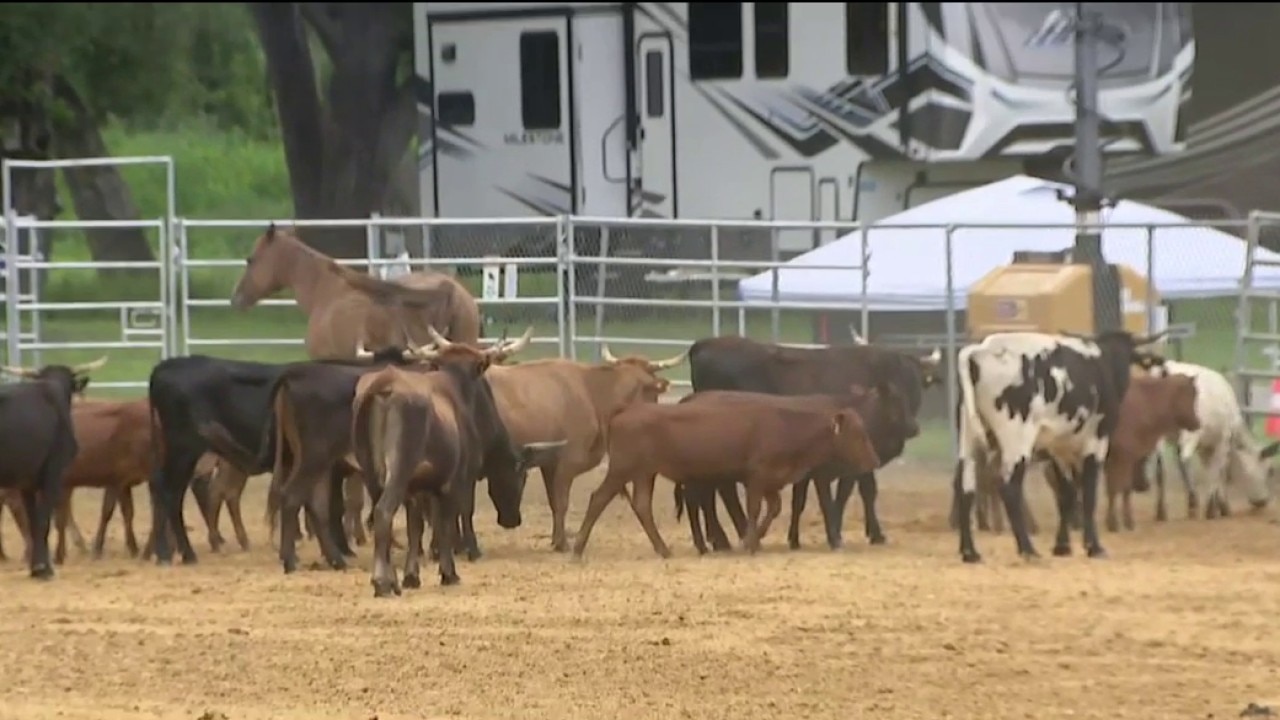 Tampa Bay Rodeo & Family Festival returns