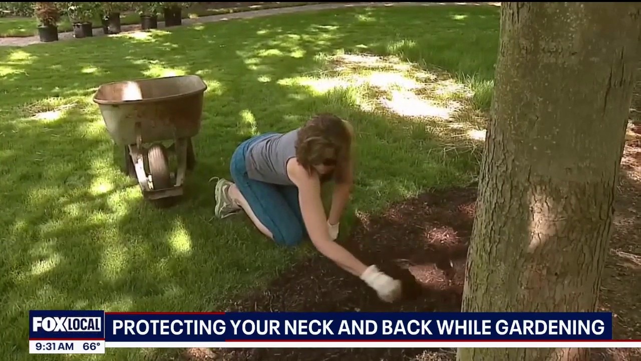 Protecting your neck and back while doing yard work