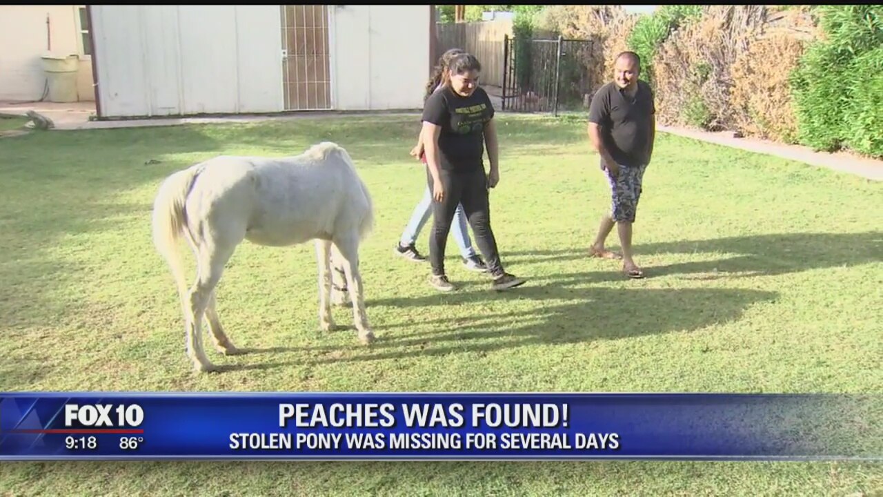 Pony who went missing for several days has been found