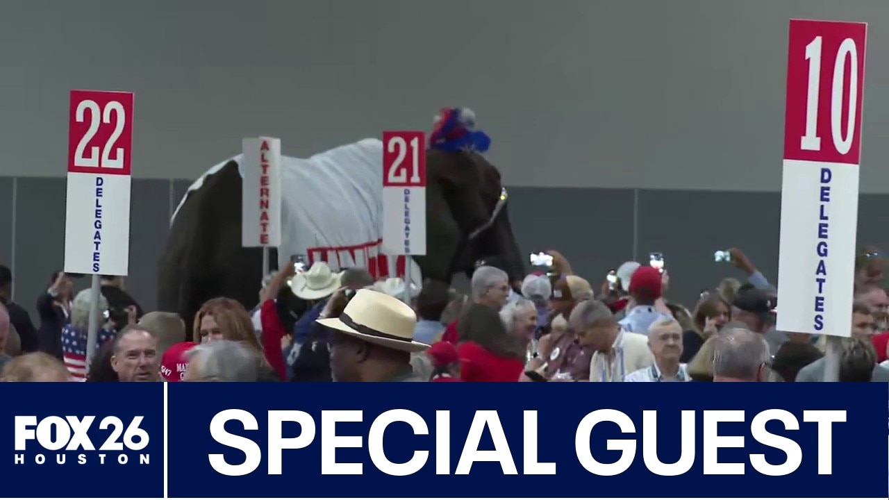 WATCH: Elephant makes appearance at Texas GOP convention