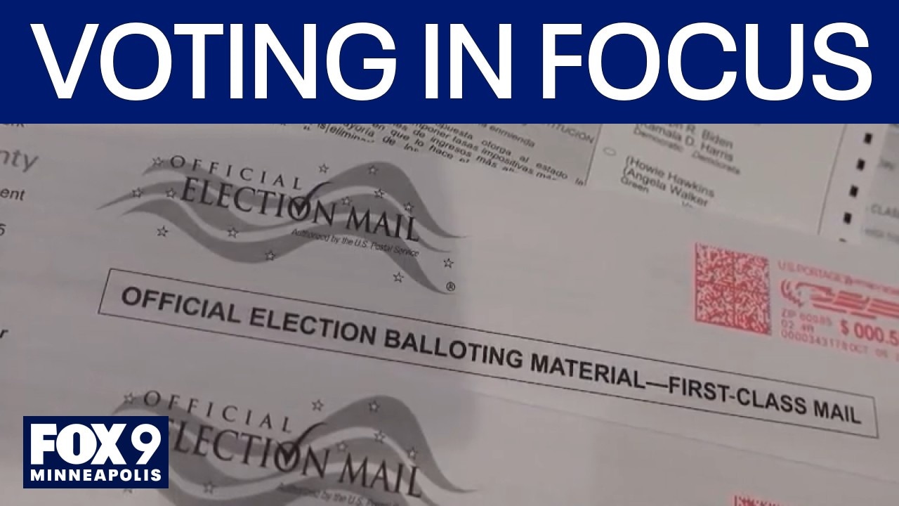 Voting under the microscope