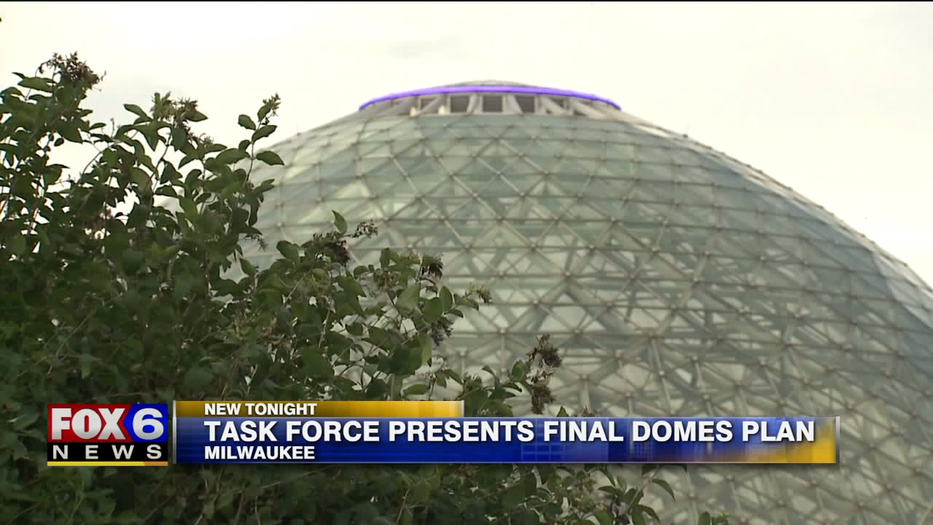 No vote as task force presents final Domes plan Wednesday evening