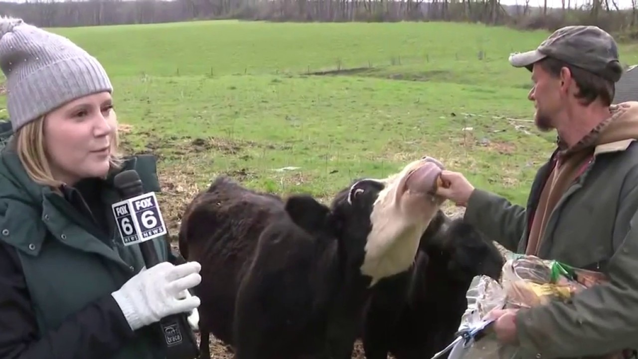 On the farm following the severe storms