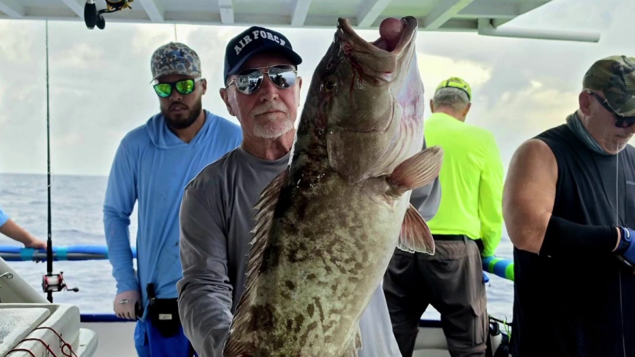 Warm weather sends fish to cooler waters