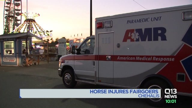 Horse injures fairgoers