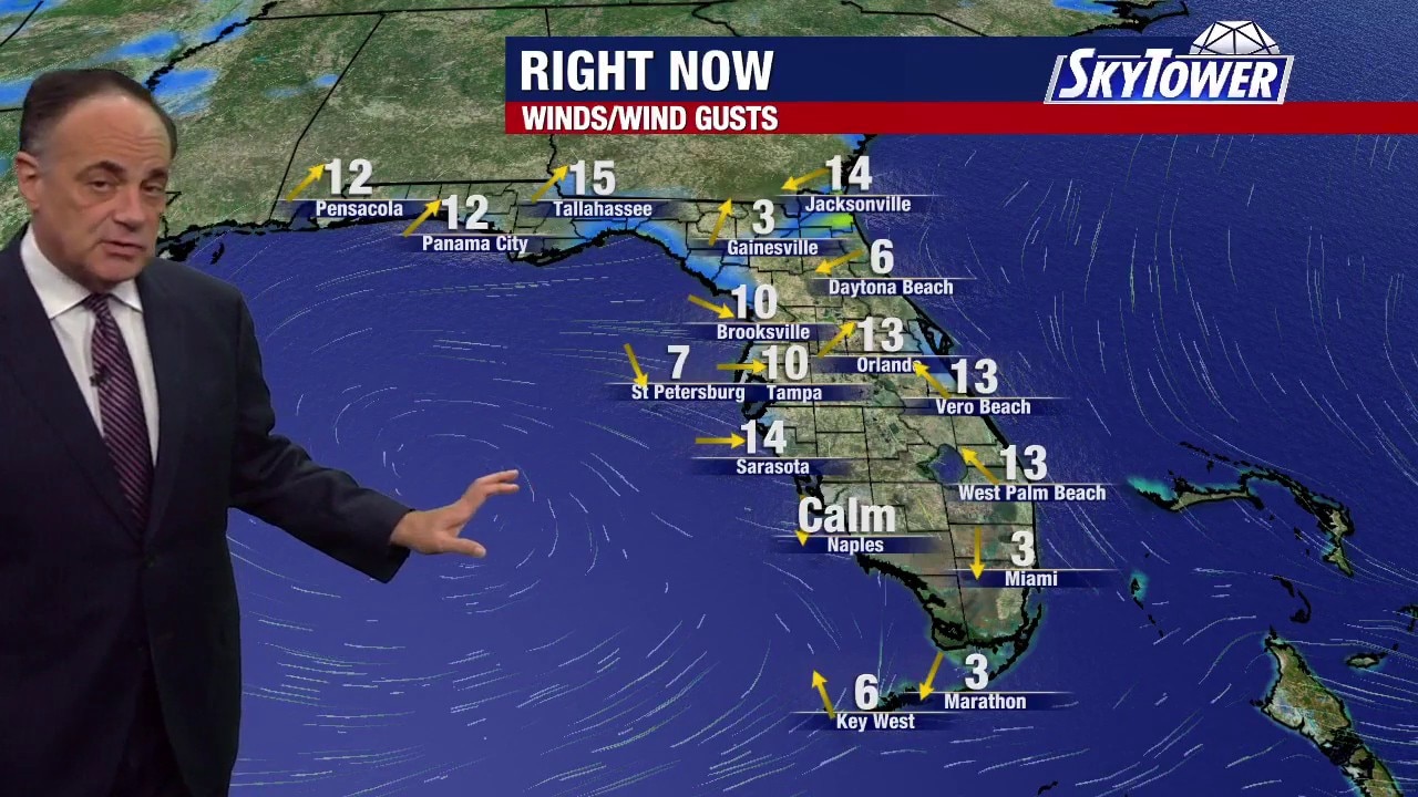 Tampa weather | Saturday evening forecast