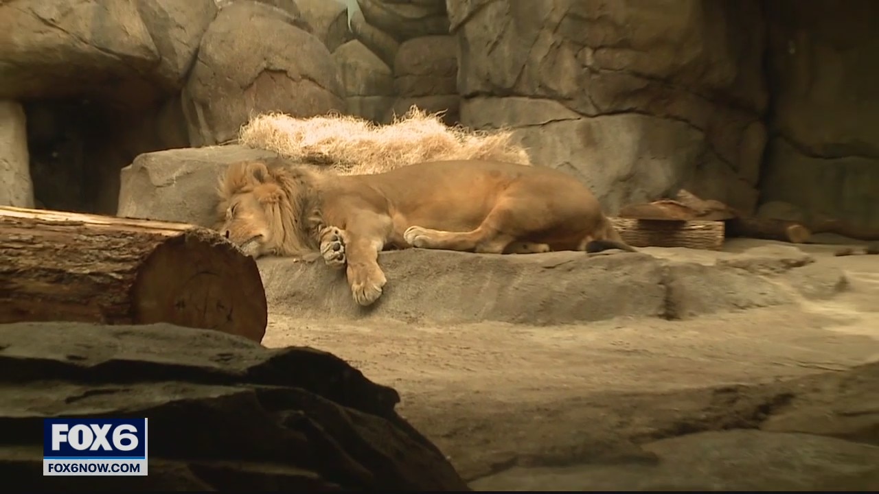 Milwaukee County Zoo welcomes guests during Frosty Free Week