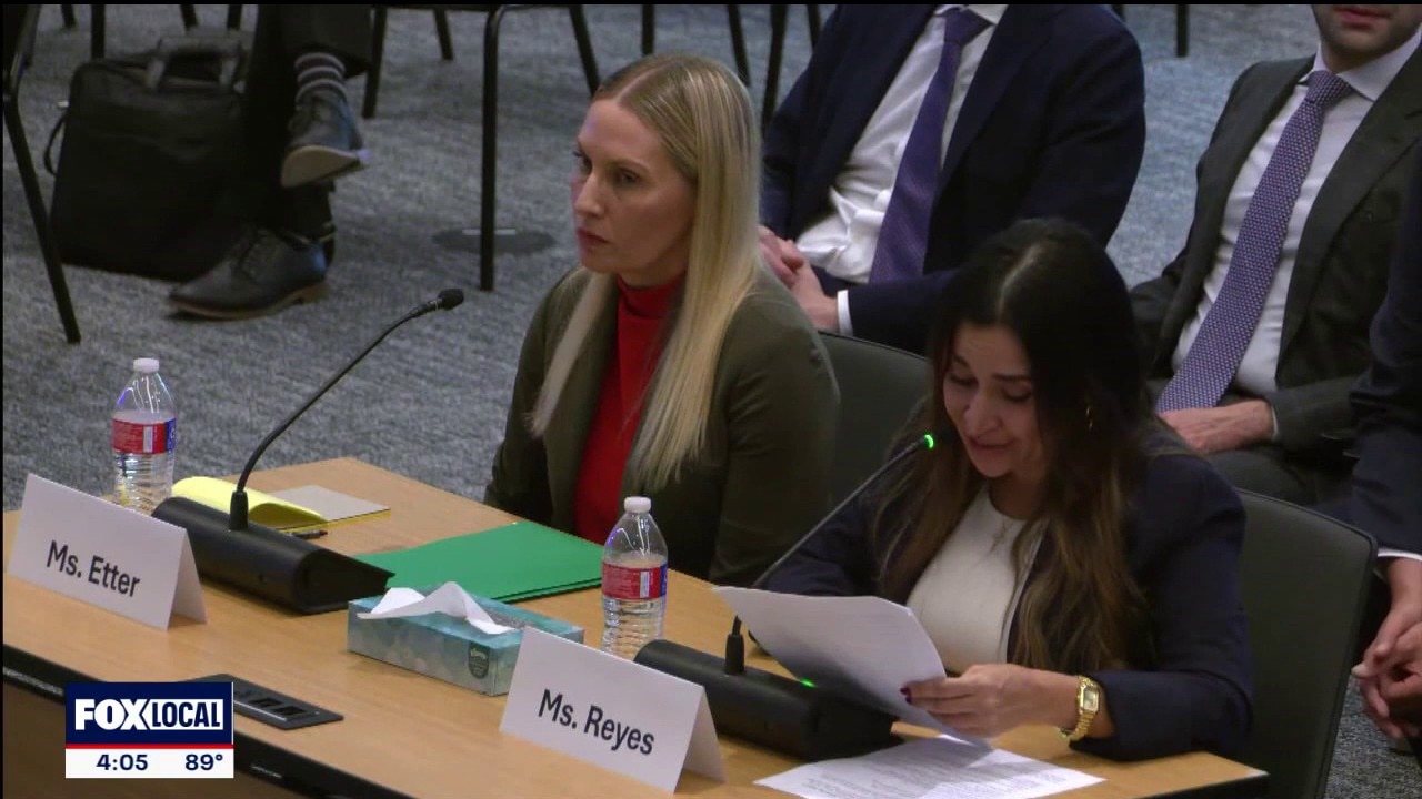 Democrats hold 'shadow hearing' over ICE shootings