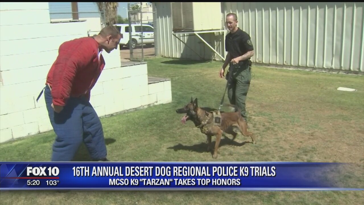 MCSO K-9 takes top honors at regional police K-9 trials