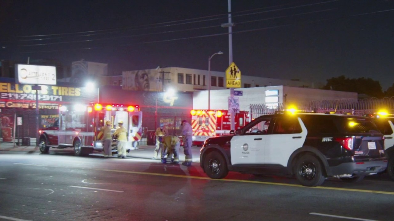 Pedestrian killed in hit-and-run crash in South LA