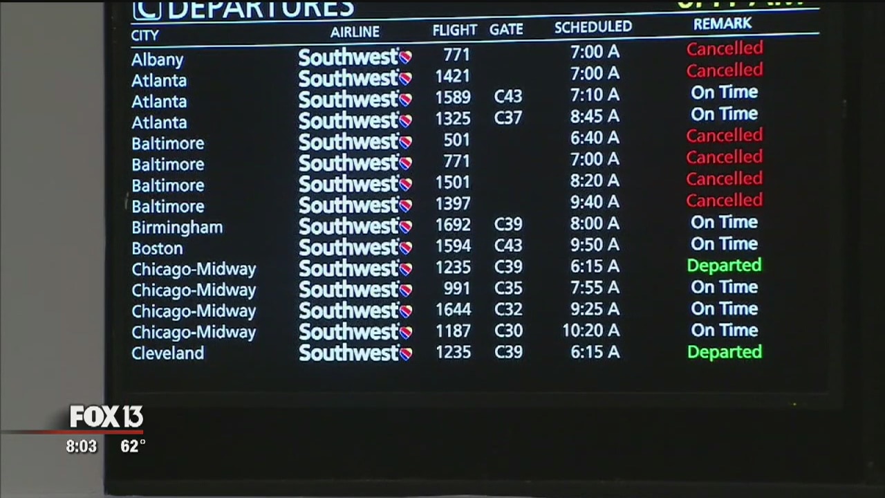 Dozens of flights cancelled at TIA due to nor'easter