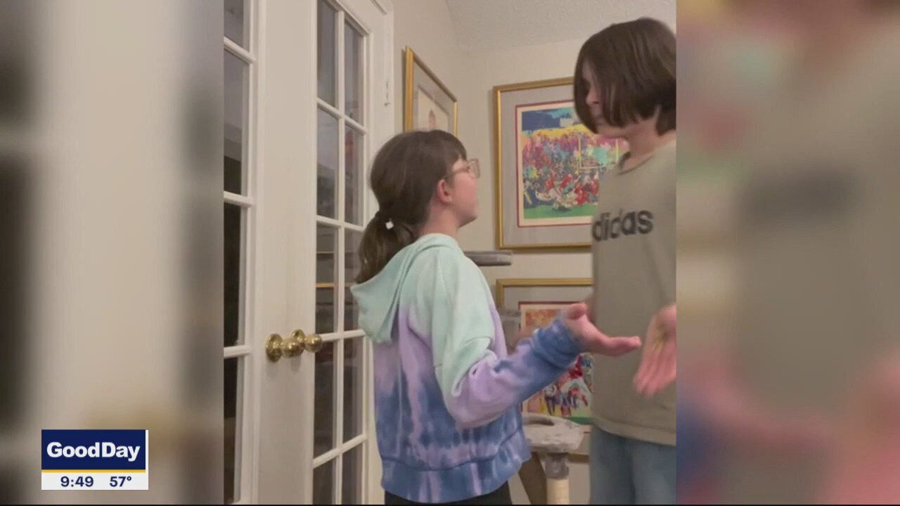 Dad Joke: A Honeybee's Hair