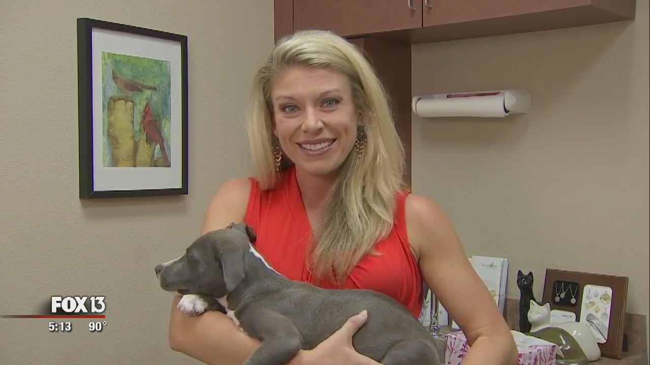 Puppy found in backpack