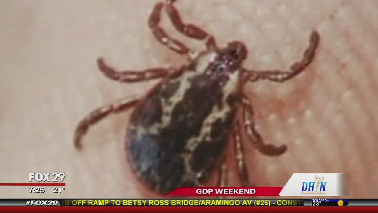 Going camping? Dr. Mike predicting terrible year for Lyme Disease