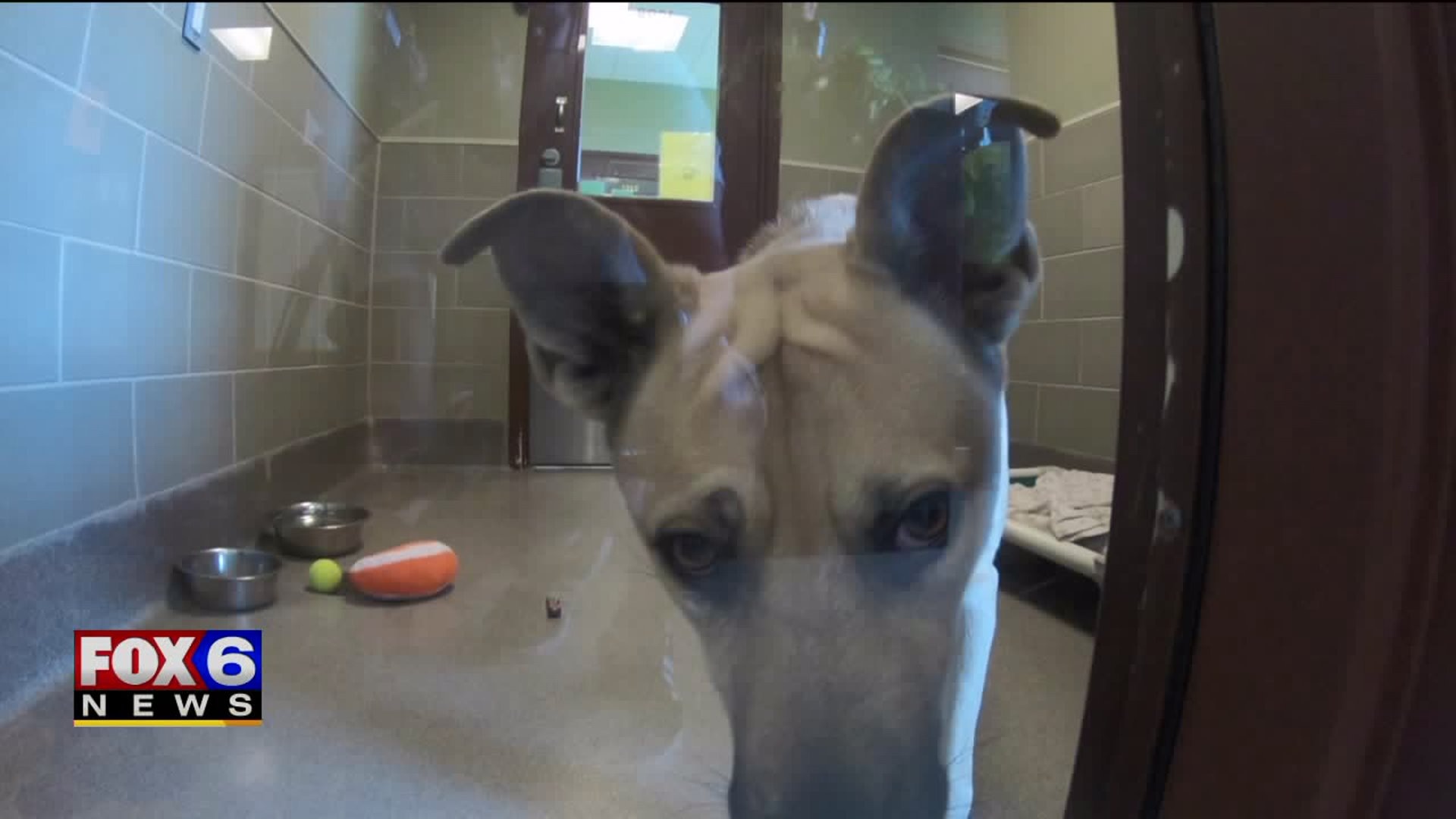 New rules worry humane society