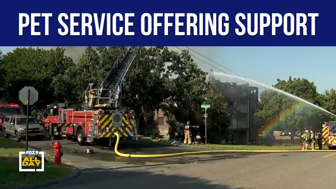 Pet boarding service offering support after apartment fire
