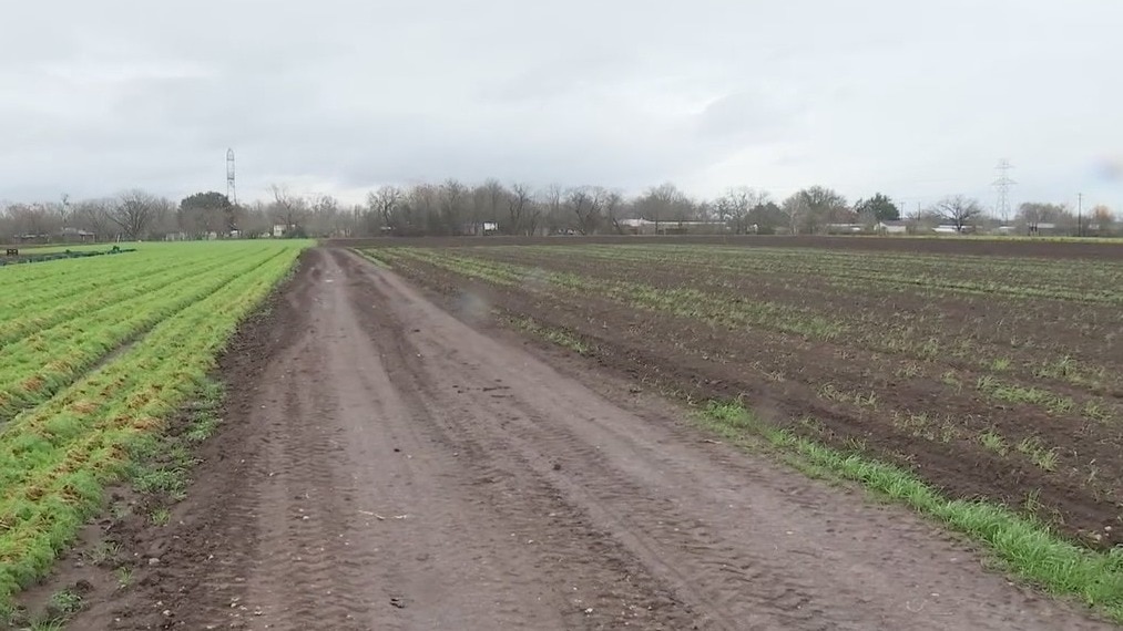 Johnson's Backyard Garden begins restoration process after winter storm
