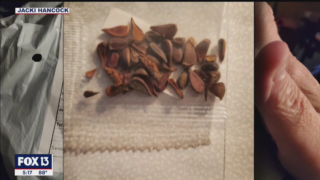 People order seeds, but sent wrong item