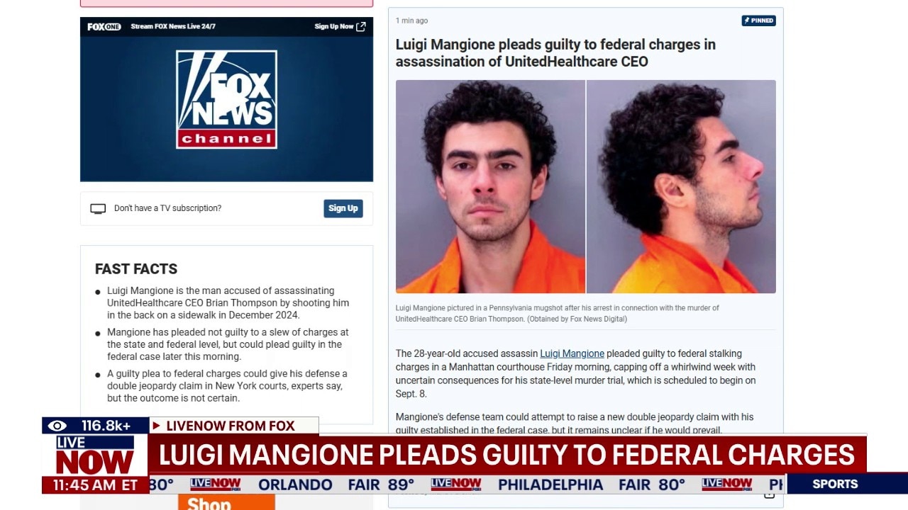 Luigi Mangione pleads guilty to fed murder charges