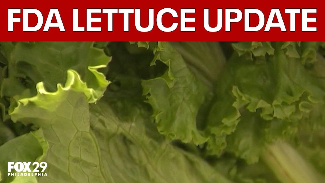 Cyclospora outbreak changes eating habits in Philly after FDA lettuce update