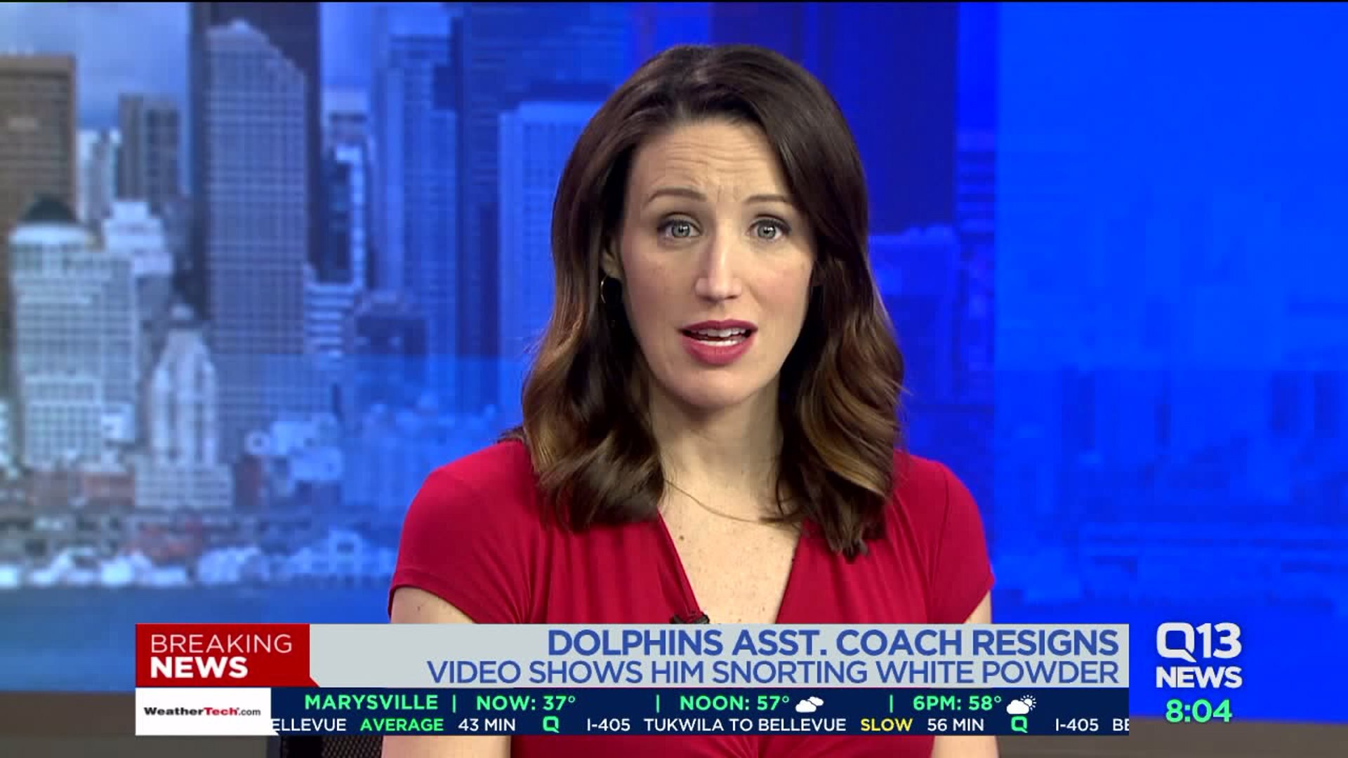 Dolphins assistant coach resigns