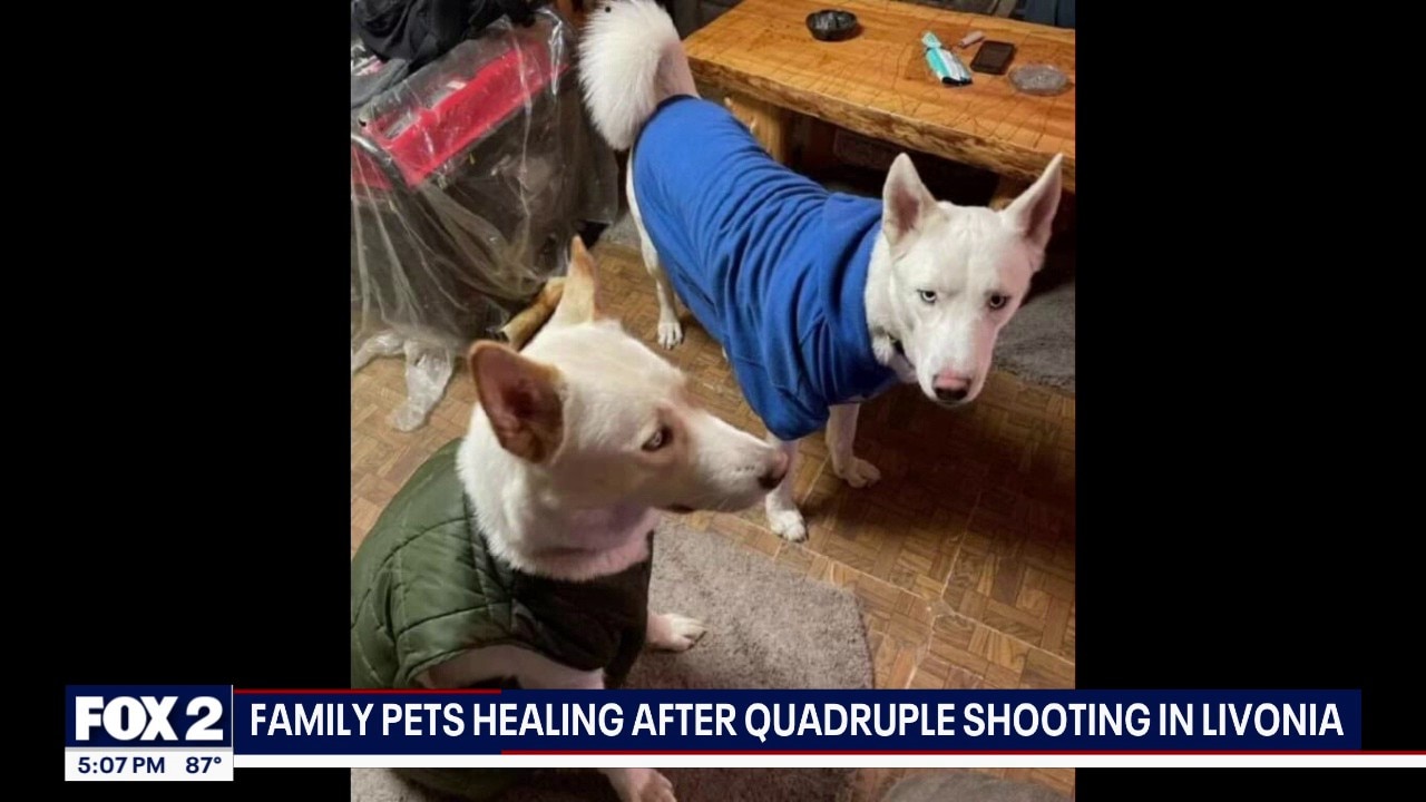 Family pets recovering after quadruple homicide in Livonia home