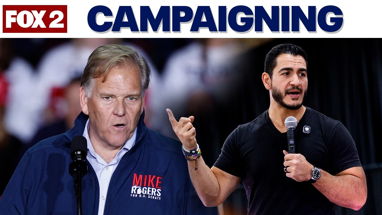 Are Michigan US senate campaign messages working for voters?