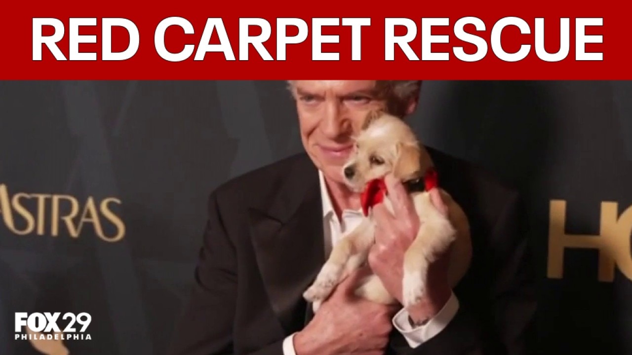Rescue flight brings red carpet dogs to Chester County