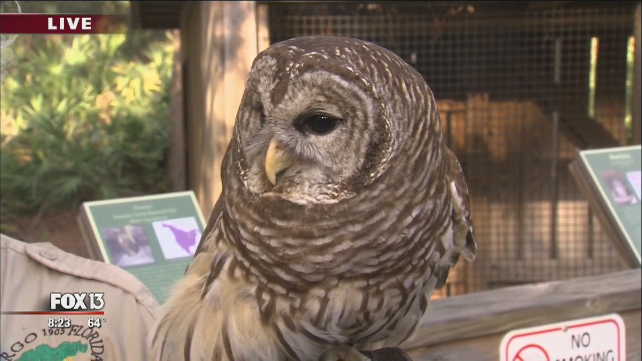 Bird talk at George McGouch Nature Park