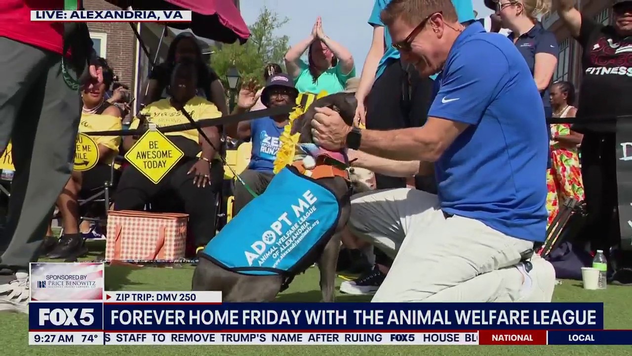 Forever Home Friday With The Animal Welfare League