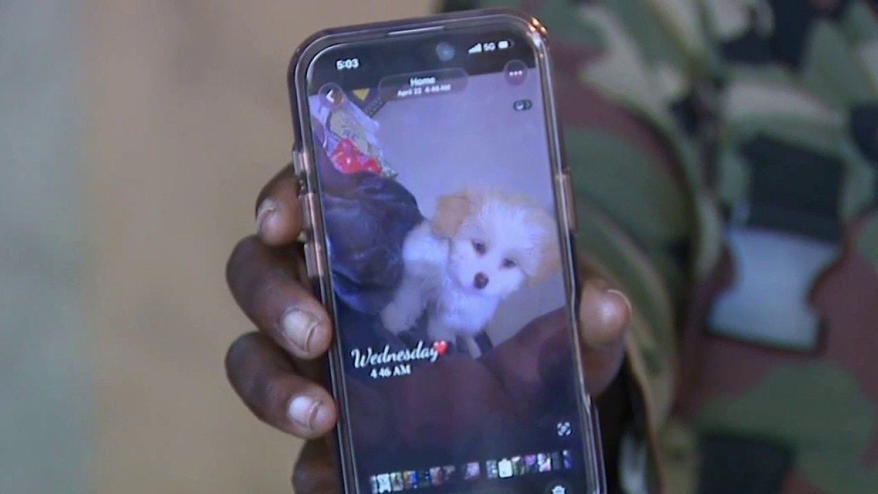 Ashes, dog stolen in Milwaukee break-in