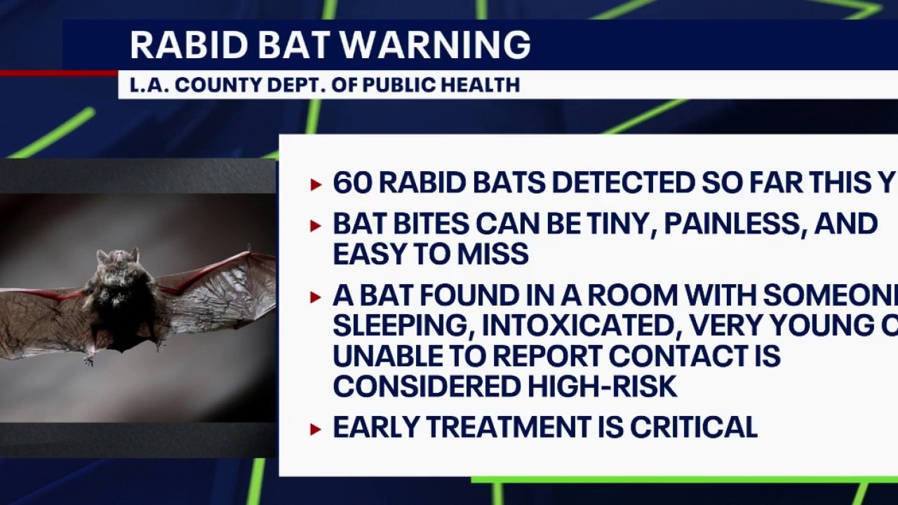 LA County issues rabid bat warning