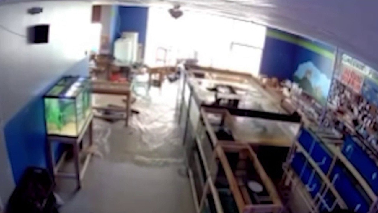 Talk about a splash: Fox Lake pet store owner describes moment fish tank 'bursts' open