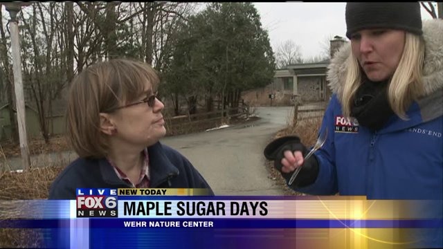 Laura gets to taste test Maple syrup