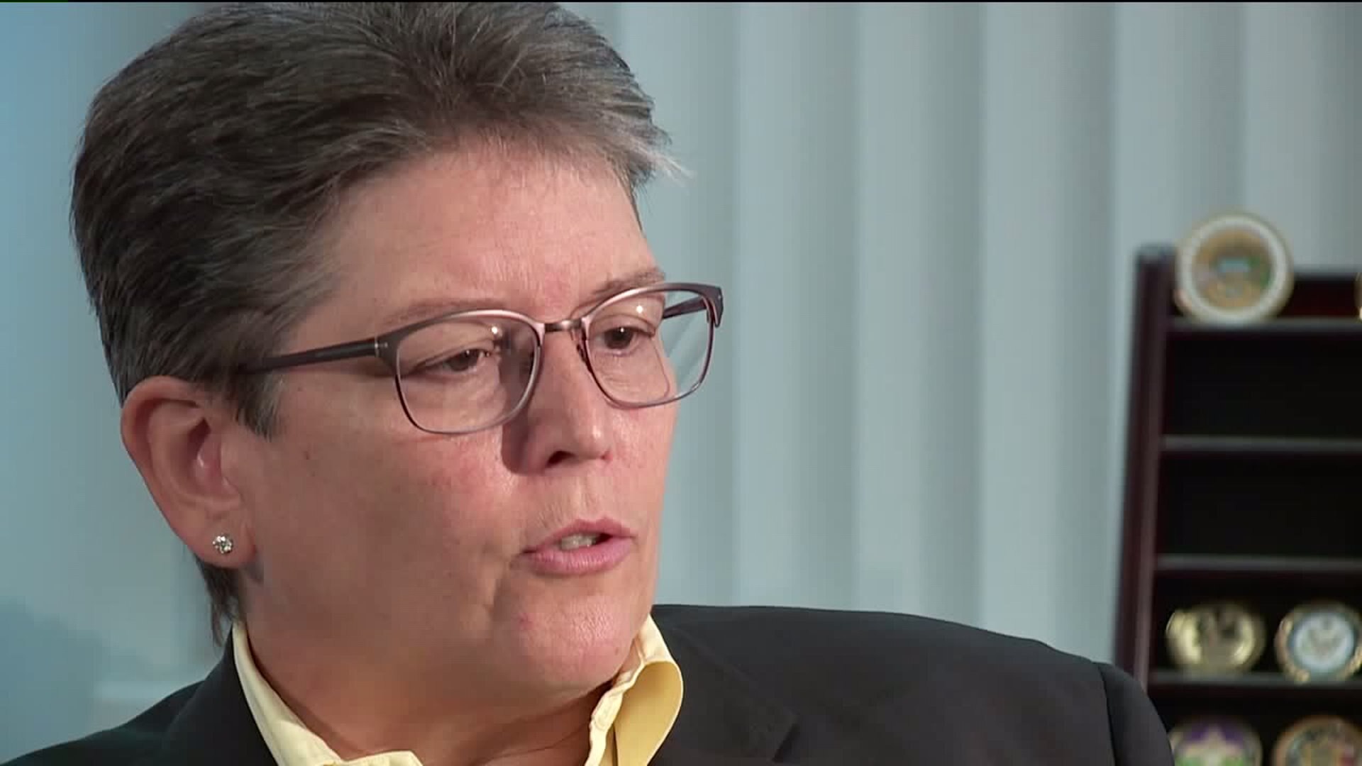 Sheriff Johanknecht interview