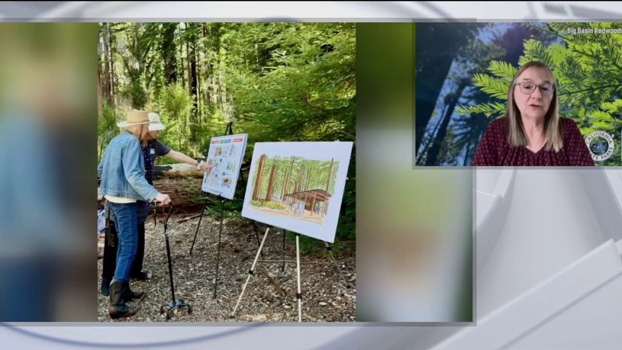 Big Basin Redwoods State Park secures $6 million gift to build new interpretive center