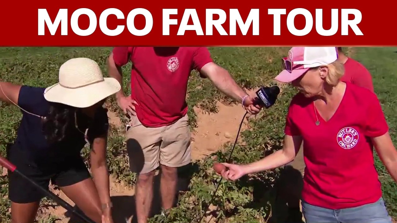 Montgomery County farm tour and harvest sale