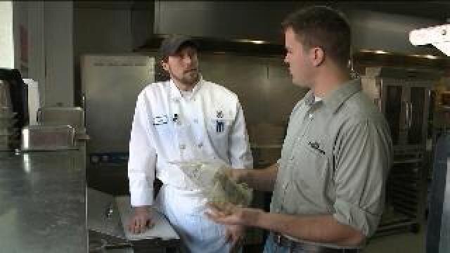 Chip gets details on meatless meals classes