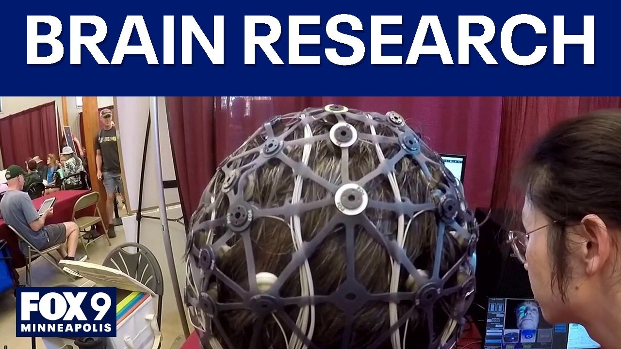 MN State Fair brain research: Play Tetris for a good cause