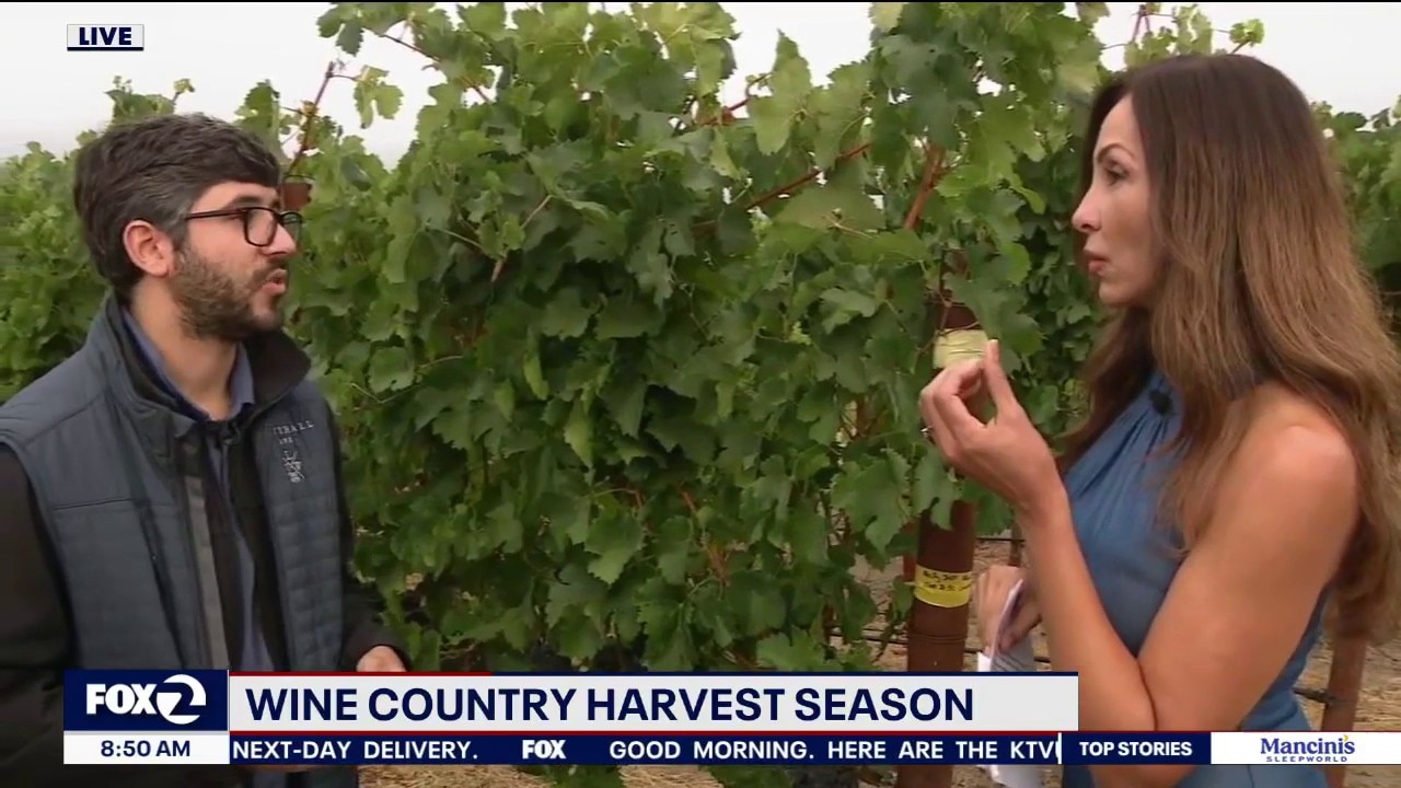 Weather patterns make for a 'very' early harvest season