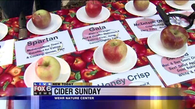 Laura talks Cider Sunday Apple tasting and dessert tasting