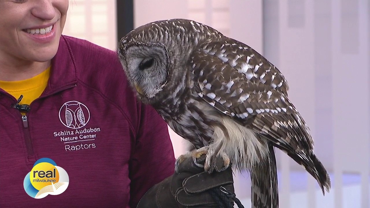 Real Milwaukee | April 15, 2026